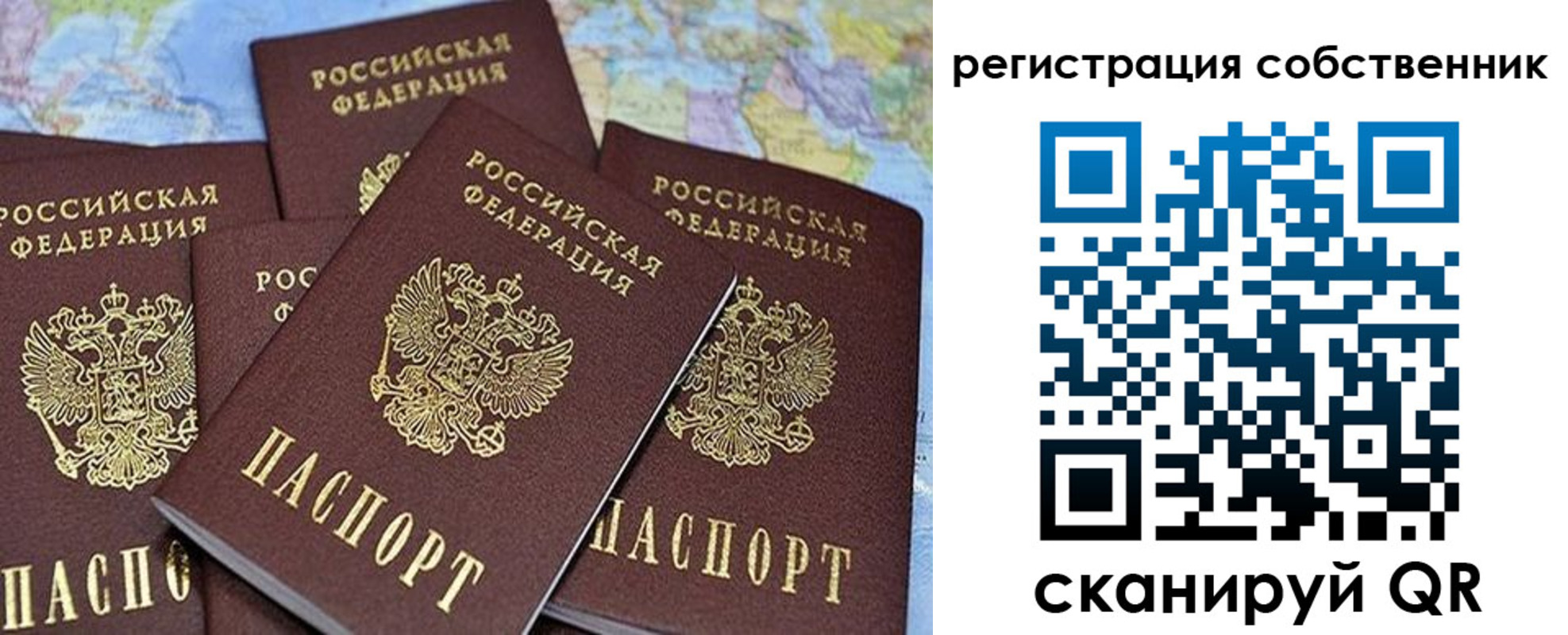 прописка для школы в Рошале
